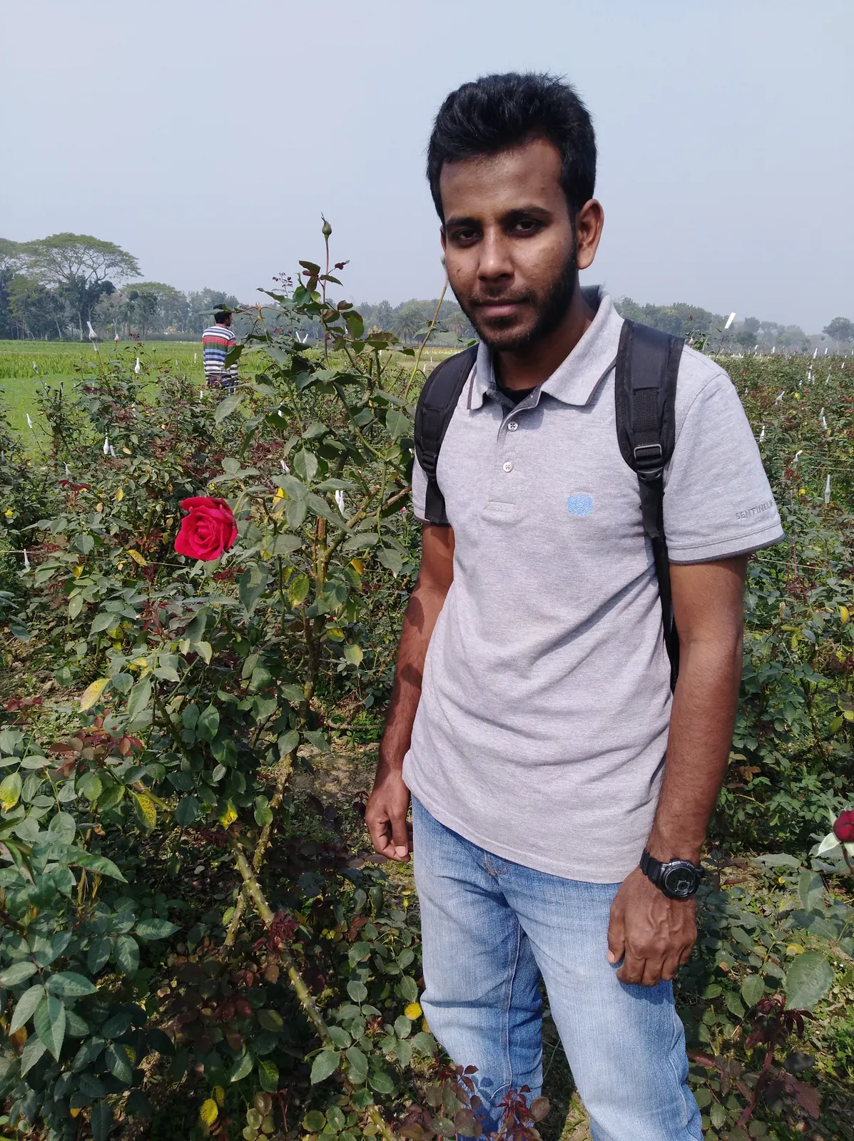 In the rose field beside a single red rose in bloom