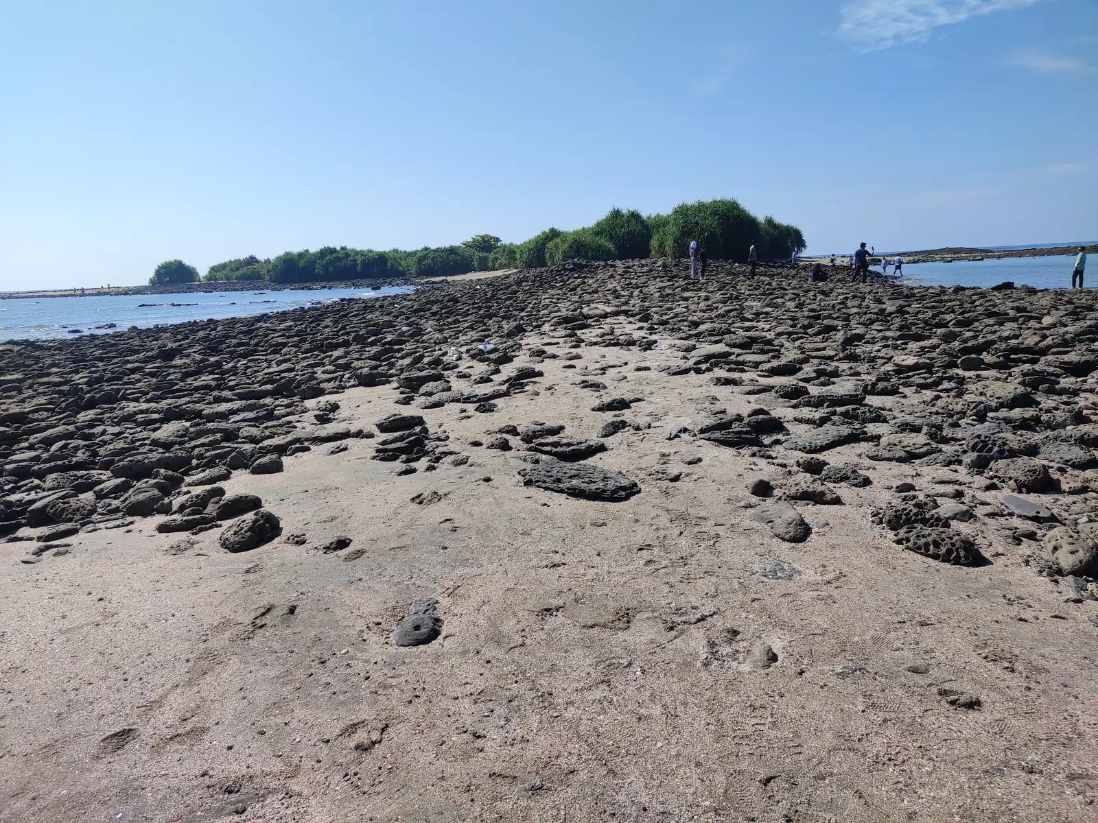 The rocky spit running out to the green tip of the island at low tide