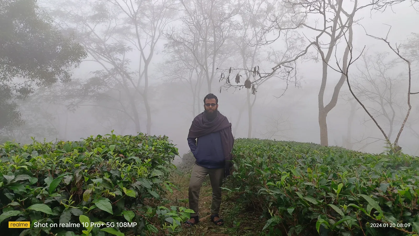 Standing waist-deep in the tea bushes as the fog closes in
