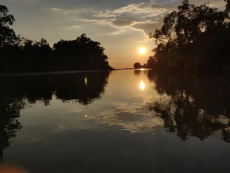 Sunset mirrored in a still mangrove river channel