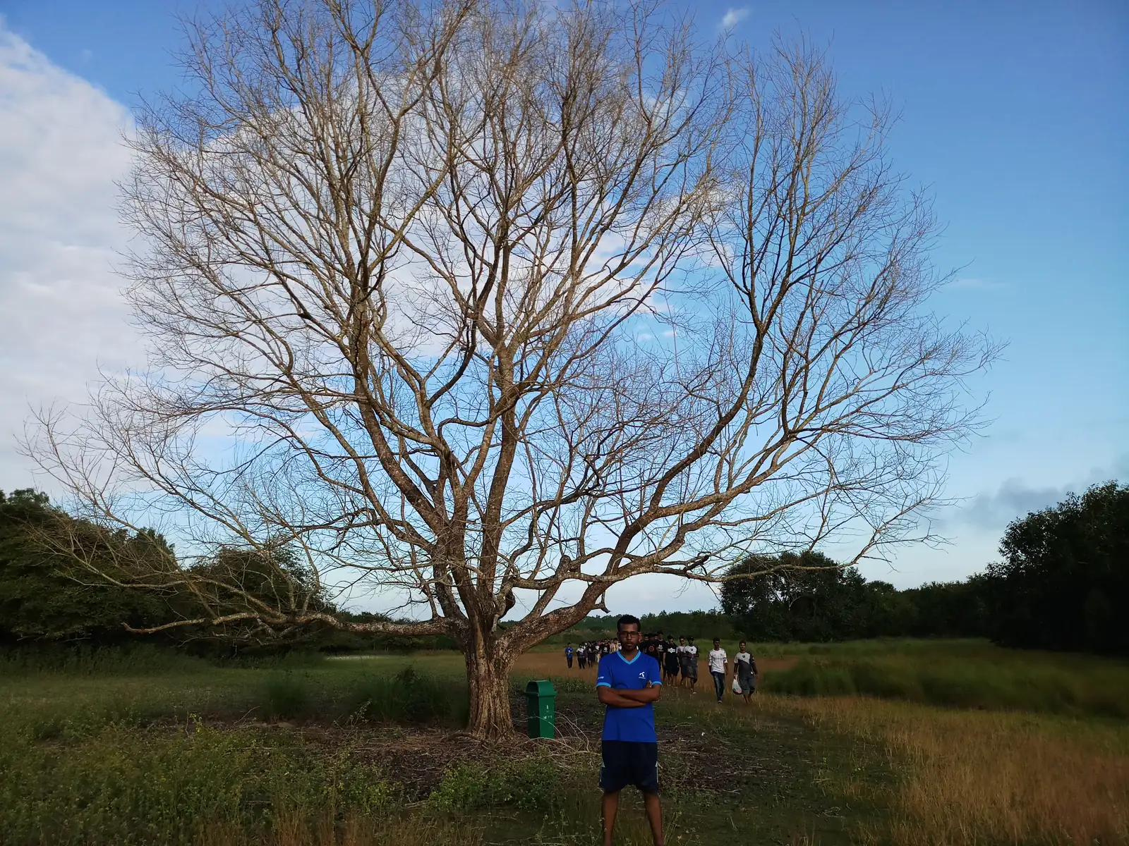 Standing under a leafless tree in the grassland at dusk