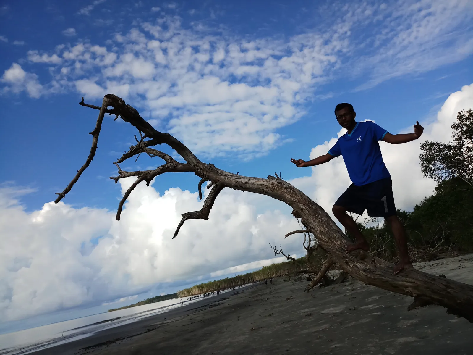 Balancing on a fallen trunk on the tidal beach under a dramatic sky
