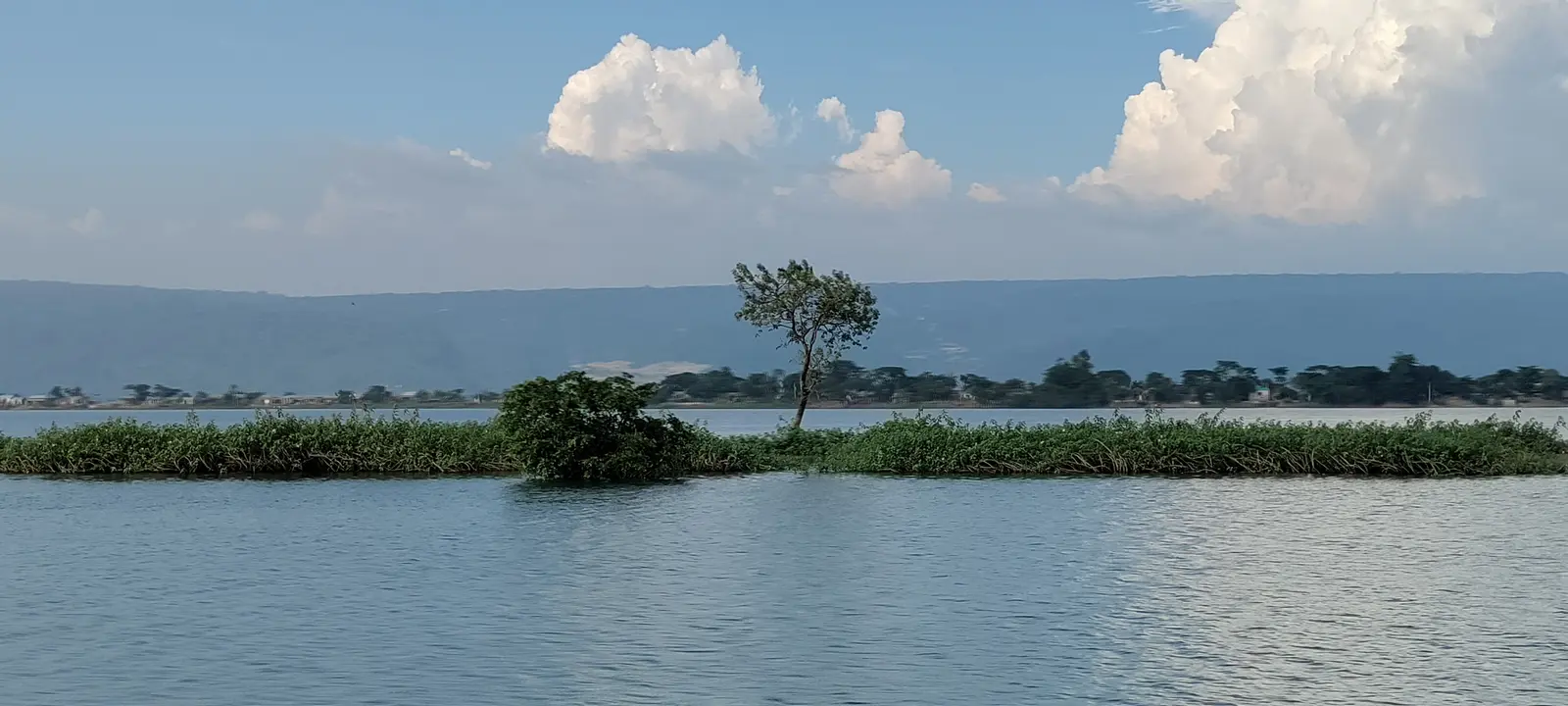 Tanguar Haor — panorama